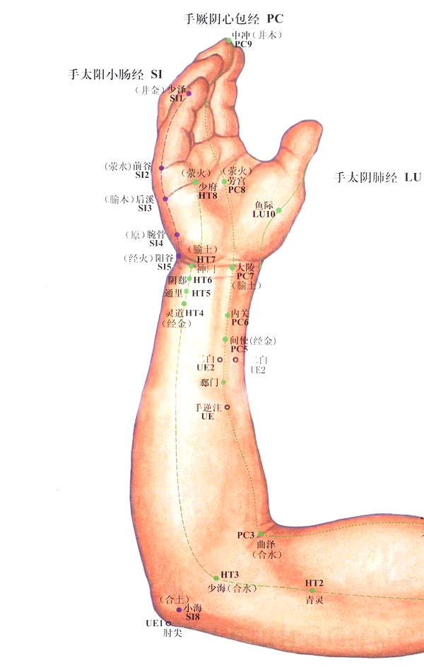 手少阴心经-通里穴