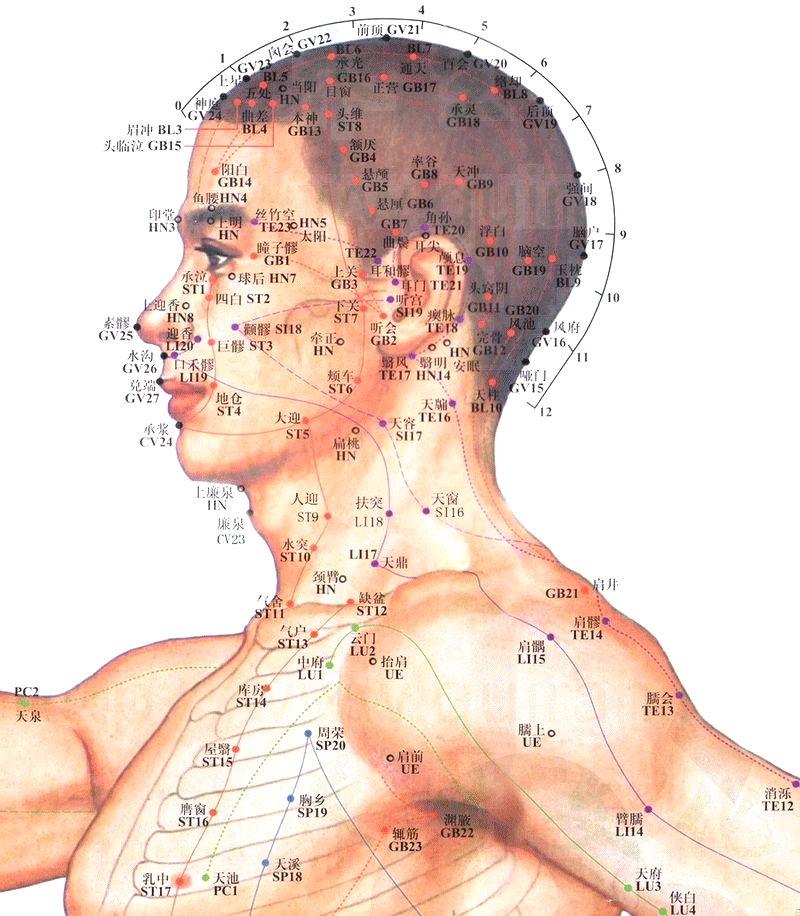 手少阳三焦经-臑会穴