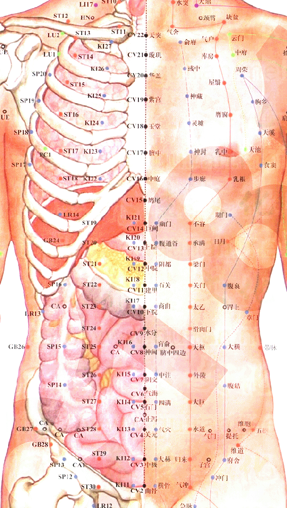 足太阴脾经-天溪穴