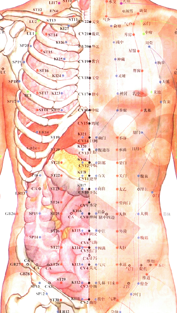 足太阴脾经-周荣穴