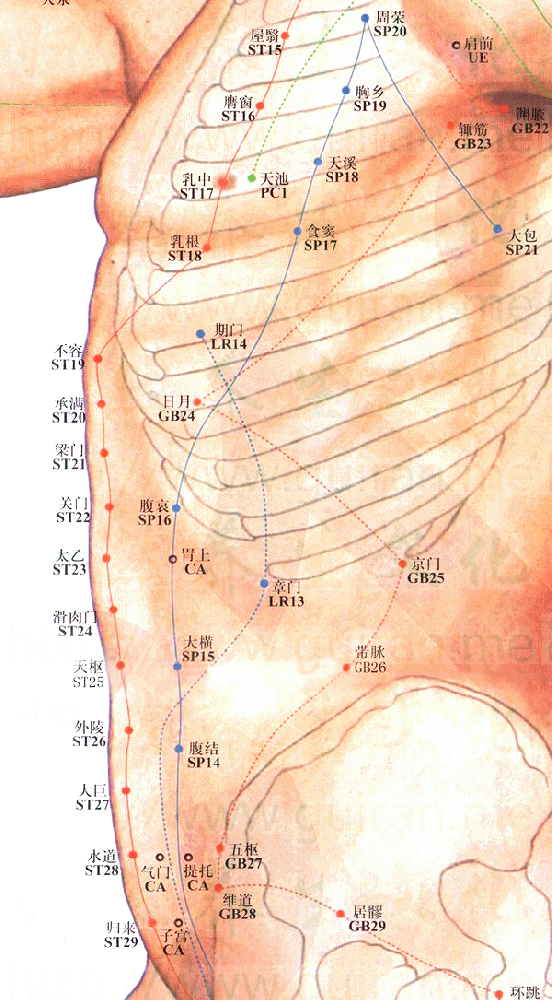 足太阴脾经-大包穴
