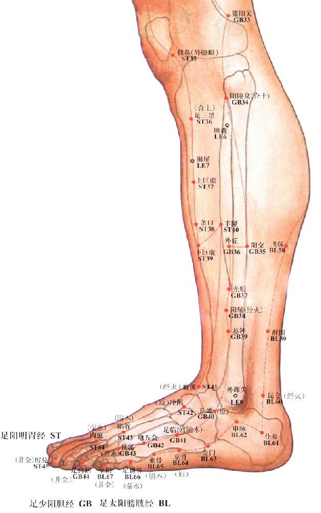 足太阳膀胱经-申脉穴